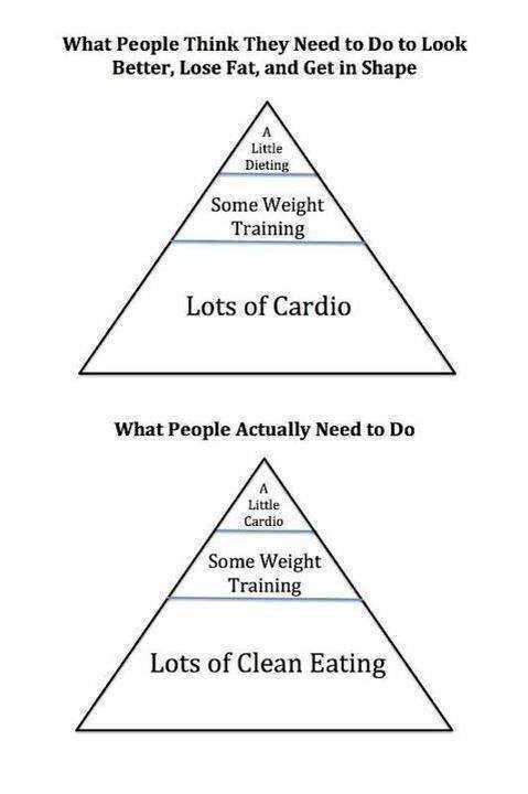 ⛽️🦎 You Can’t Get to Your Destination Without Putting Gas in Your&nbsp;Tank