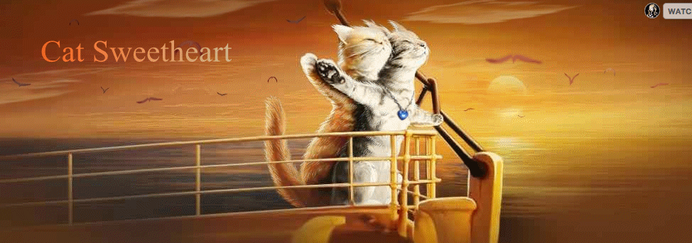 Screen Shot 2015-07-14 at 11.12.35 PM