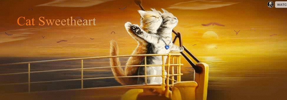 Screen Shot 2015-07-14 at 11.12.35 PM