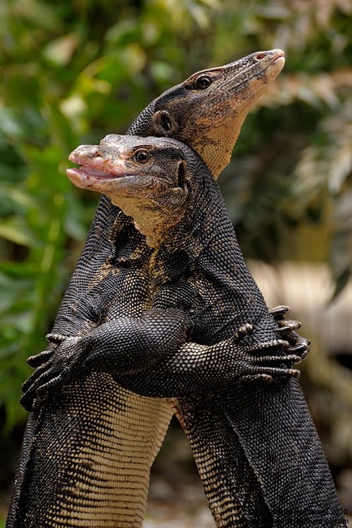 tumblr_mxk2tzwczE1rdag7yo1_500